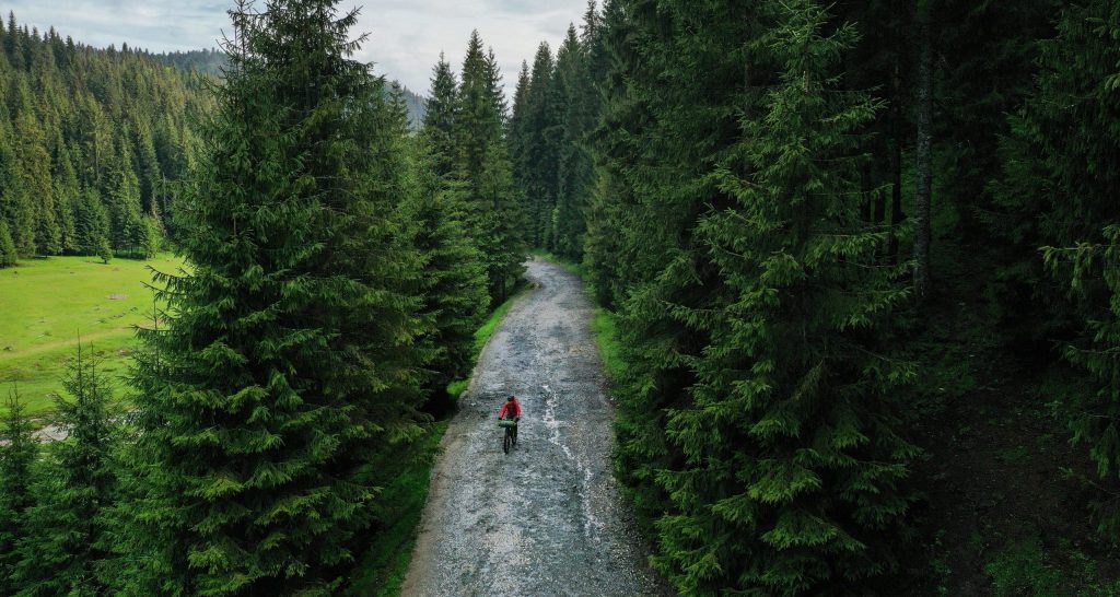 Drone,Photograph,With,A,Mountain,Biker,Through,A,Pine,Forest