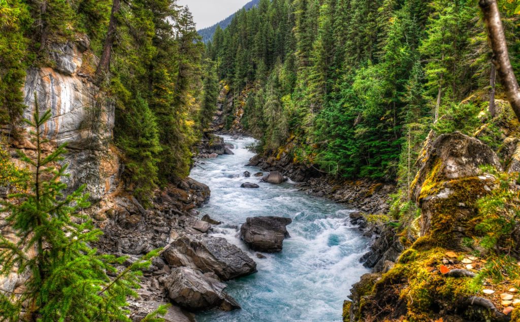 Waterfall,And,River,Views,Of,The,Scenic,Frasier,River,,Mount