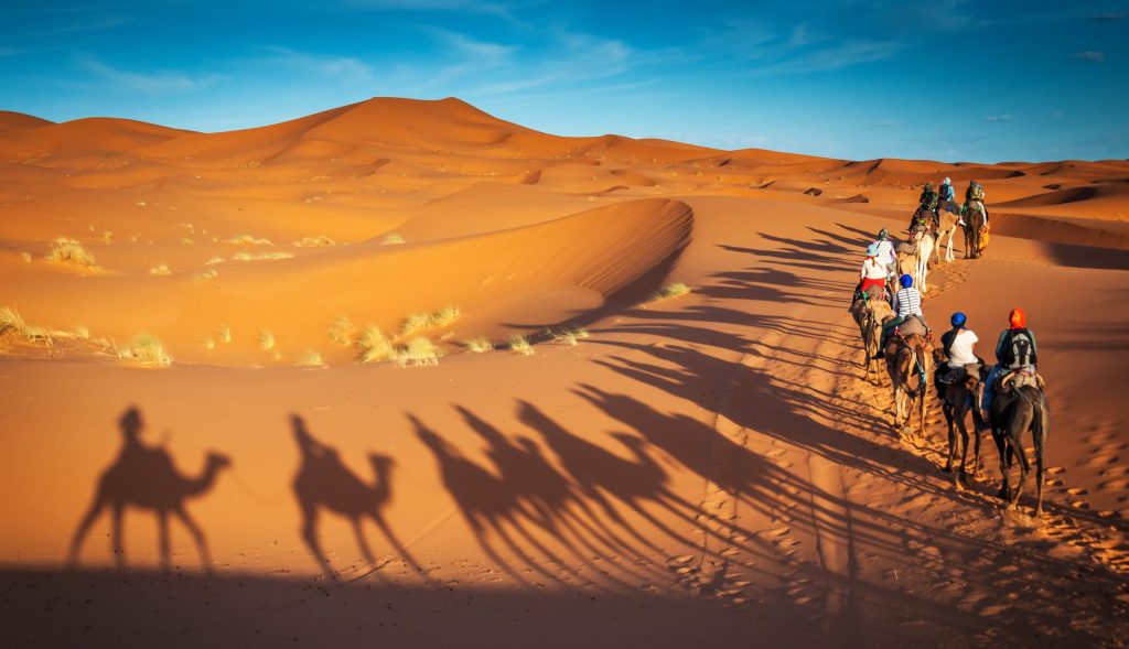 Camels,Trekking,Guided,Safari,Tours,In,Merzouga,Morocco,Sahara,Desert