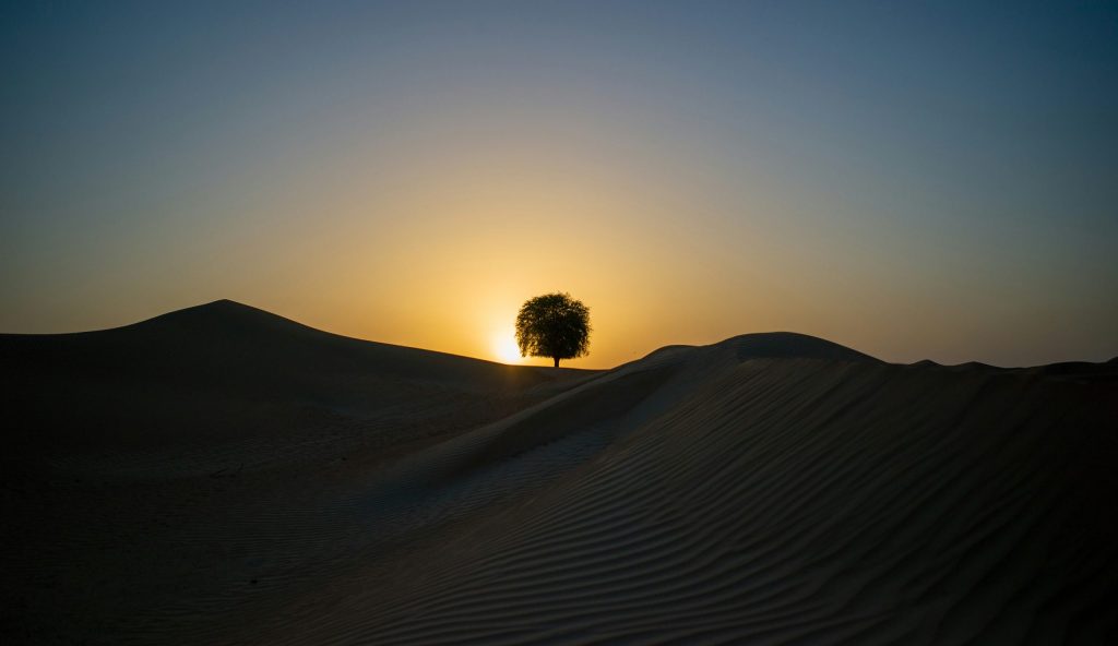 Observation des étoiles dans le ciel de Dubai paysage au coucher du soleil