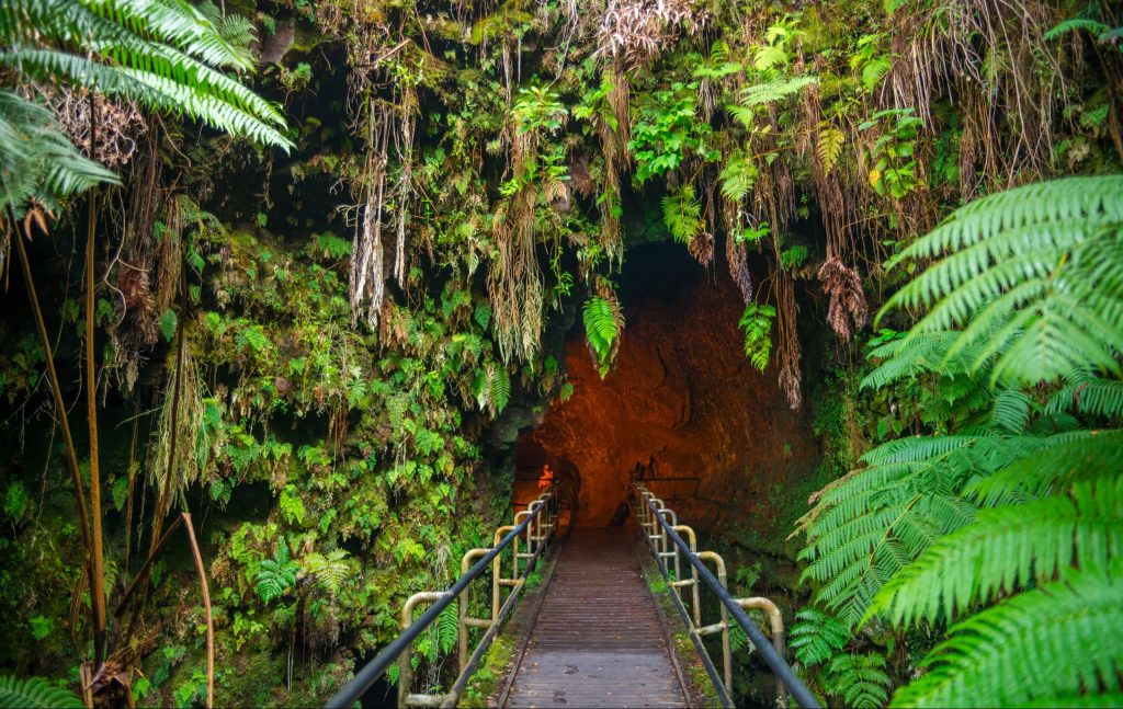 The,Thurston,Lava,Tube,In,Hawaii,Volcano,National,Park,,Big
