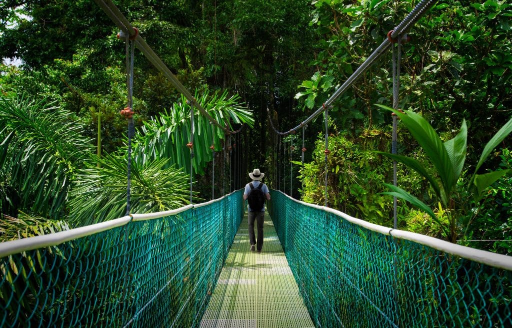 Suspension,Bridge,With,Backpacker,In,Tropical,Rain,Forest
