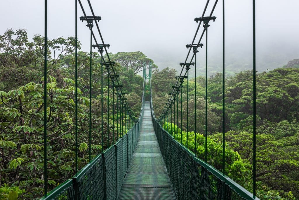 Bridge,In,A,Cloud,Forest,In,Costa,Rica.