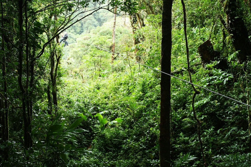 Survol de la forêt de Monteverde sur un parcours de tyroliennes Costa Rica tyrolienne dans la forêt