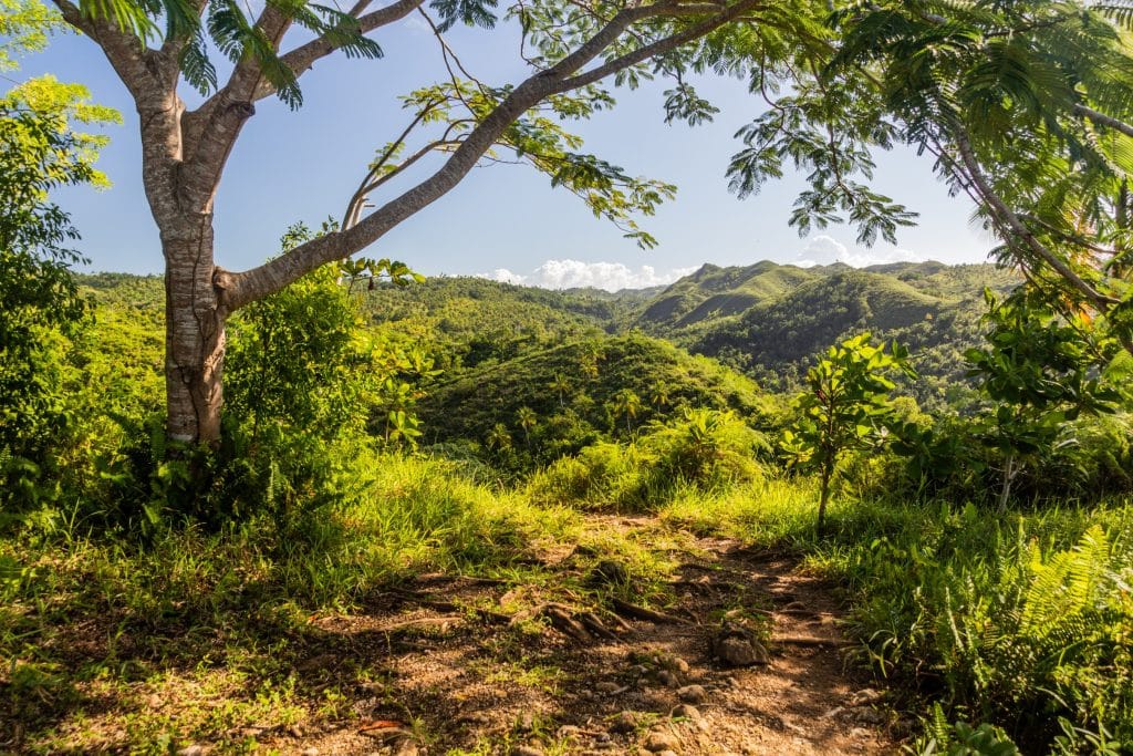 Hiking,Trail,To,El,Limon,Waterfall,,Dominican,Republic