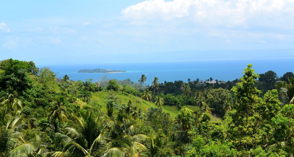 Jungle,On,A,Tropical,Island,,Samana,Peninsula,,Dominican,Republic