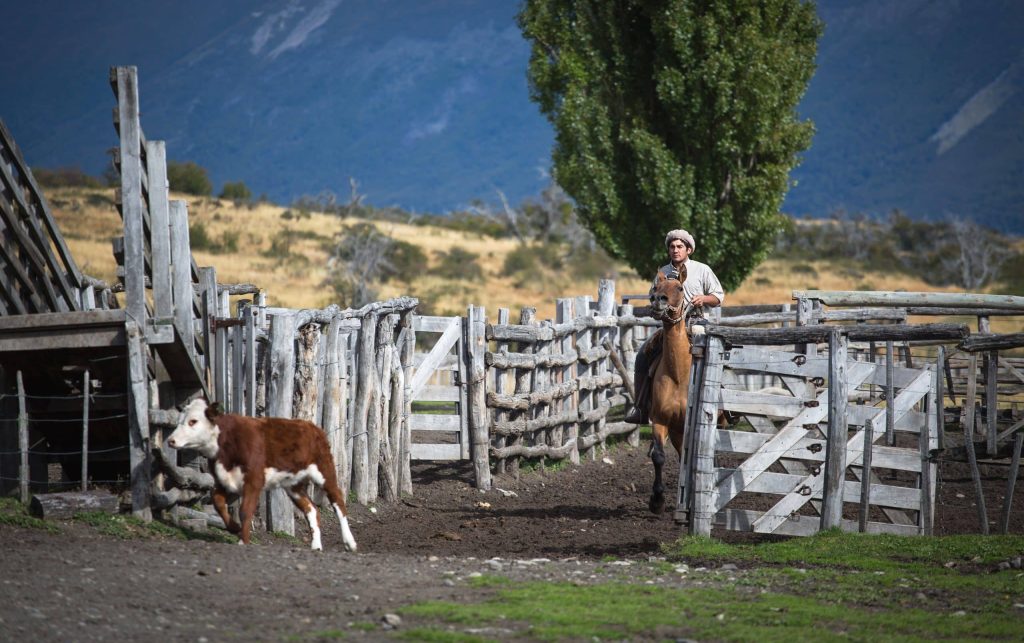 El,Chalten,,Mount,Fitz,Roy,,Argentina, ,March,22:,Gaucho
