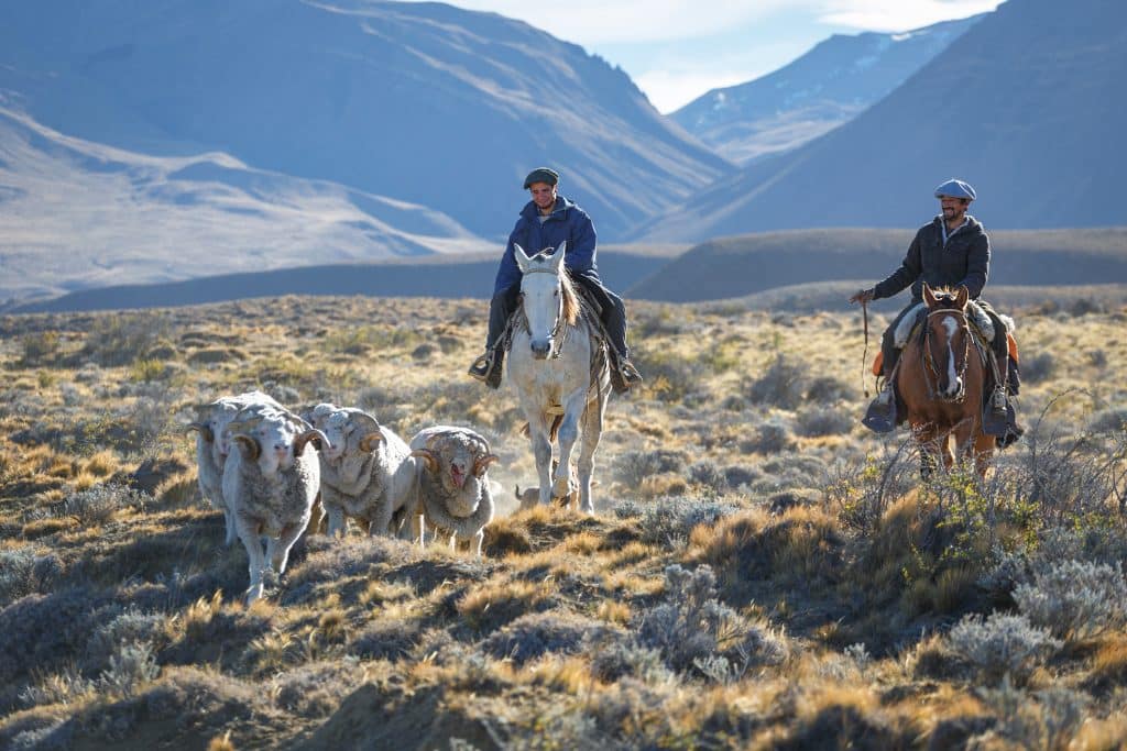 El,Chalten,,Argentina, ,April,16:,Gaucho,Against,The,Backdrop