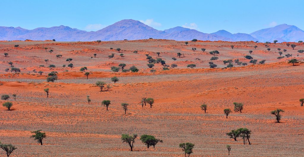 Namibia,Namibrand,Nature,Reserve