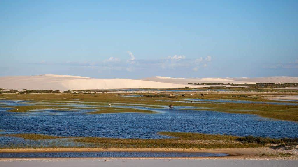 Lençois,Maranhenses,National,Park, ,Brazil