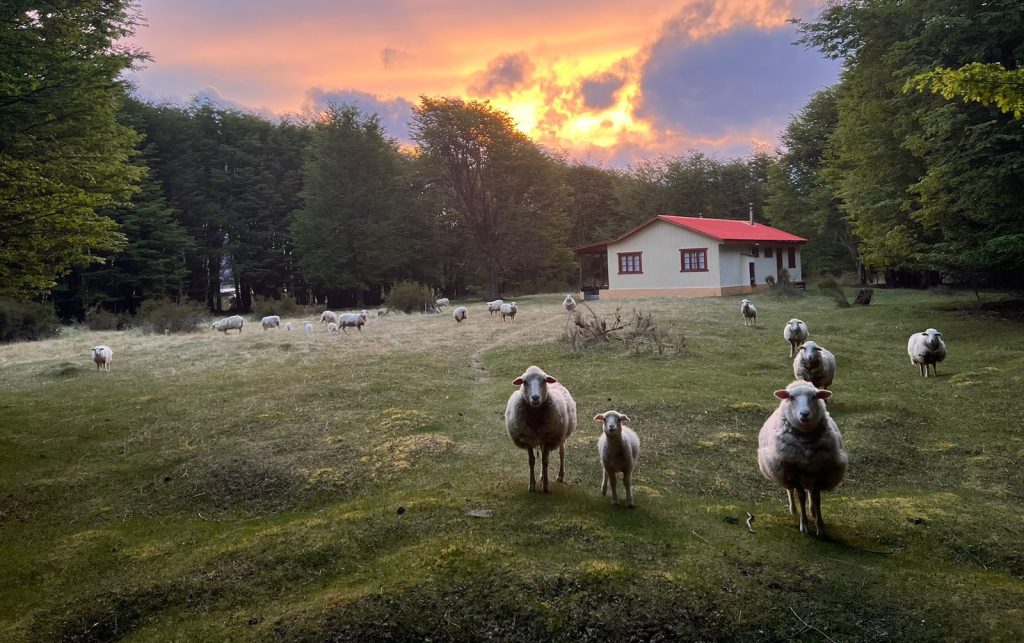 ©Explora Chili Tierra del Fuego lodge étape