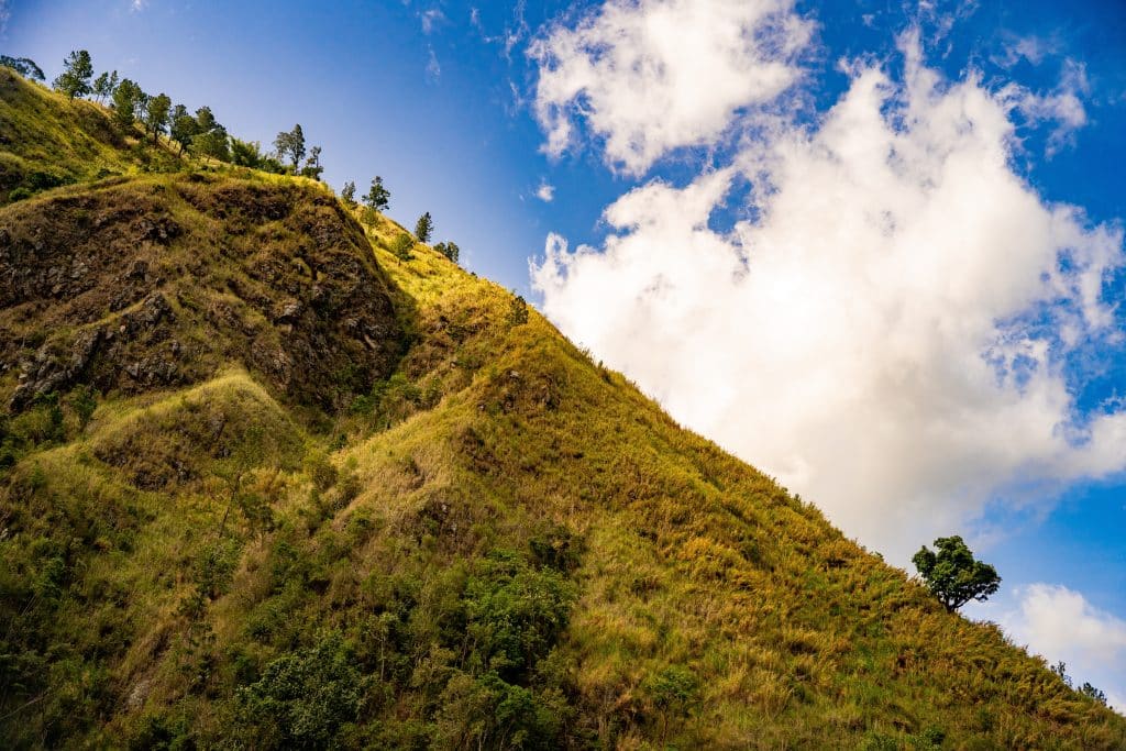 Blue,Mountains,,Jamaica,,May,9,,2025:,Deep,Within,The