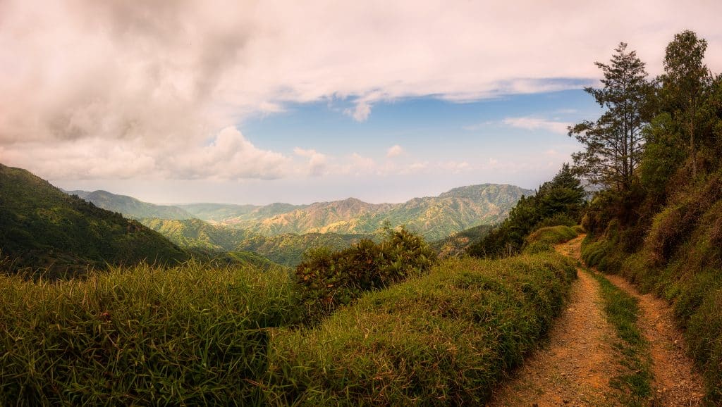 A,Lovely,Day,In,The,Hills,Of,The,Blue,Mountains,