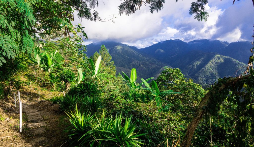 The,Blue,Mountains,In,Jamaica,,Caribbean,,Middle,America