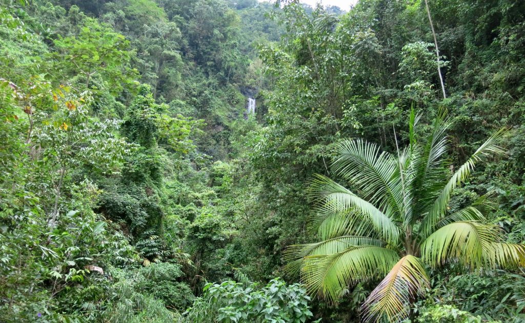 Beautiful,Blue,Mountain,In,Jamaica.