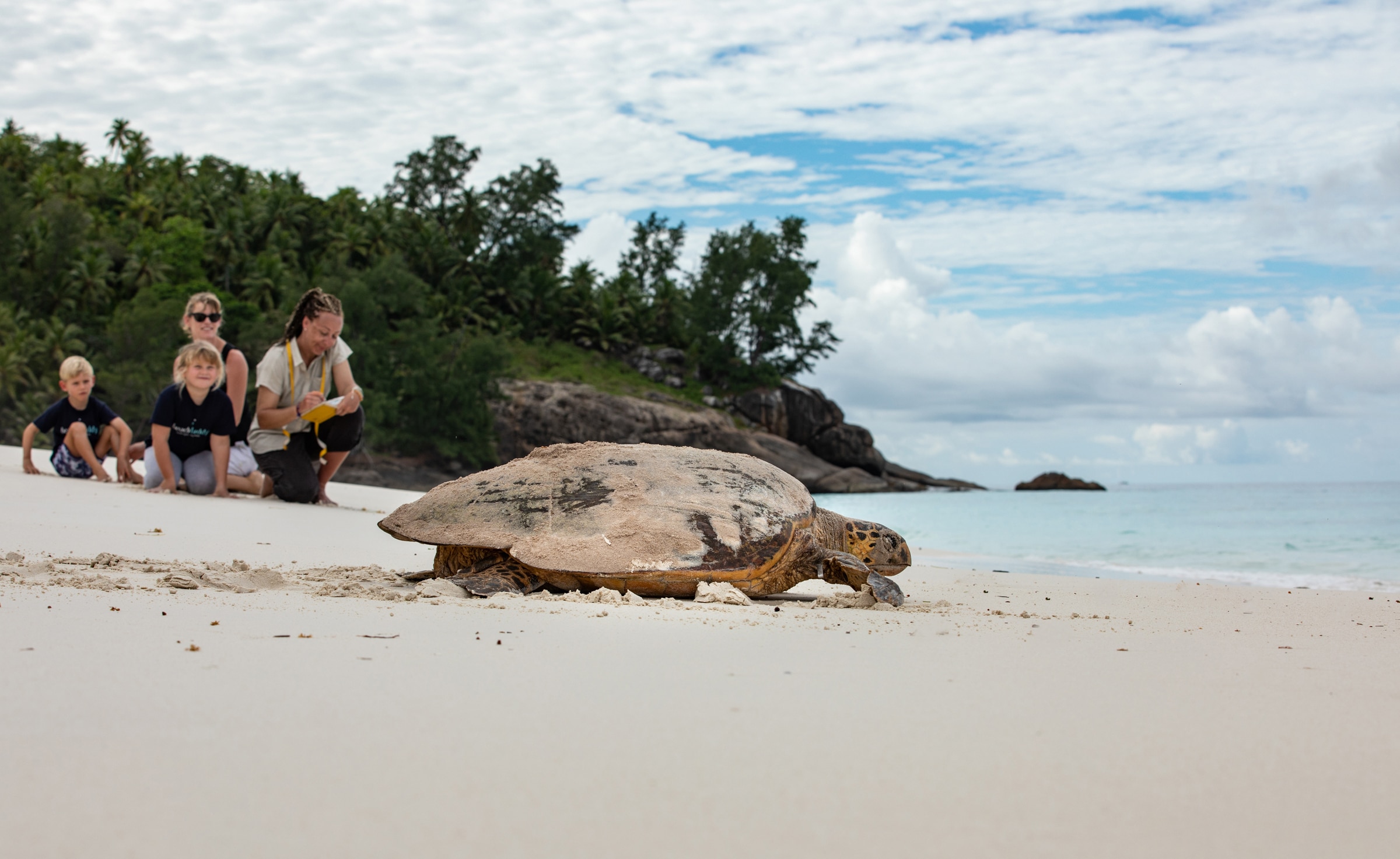Seychelles North Island observation tortues