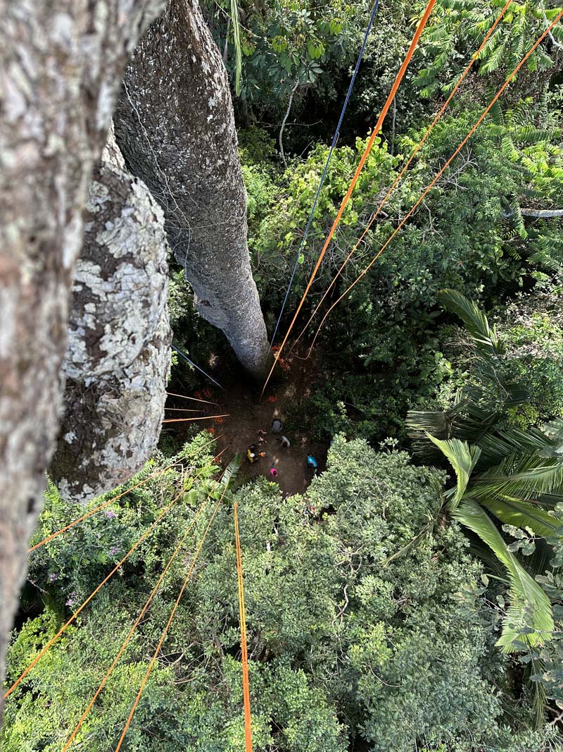 Juma Amazon Lodge Brésil acrobranche