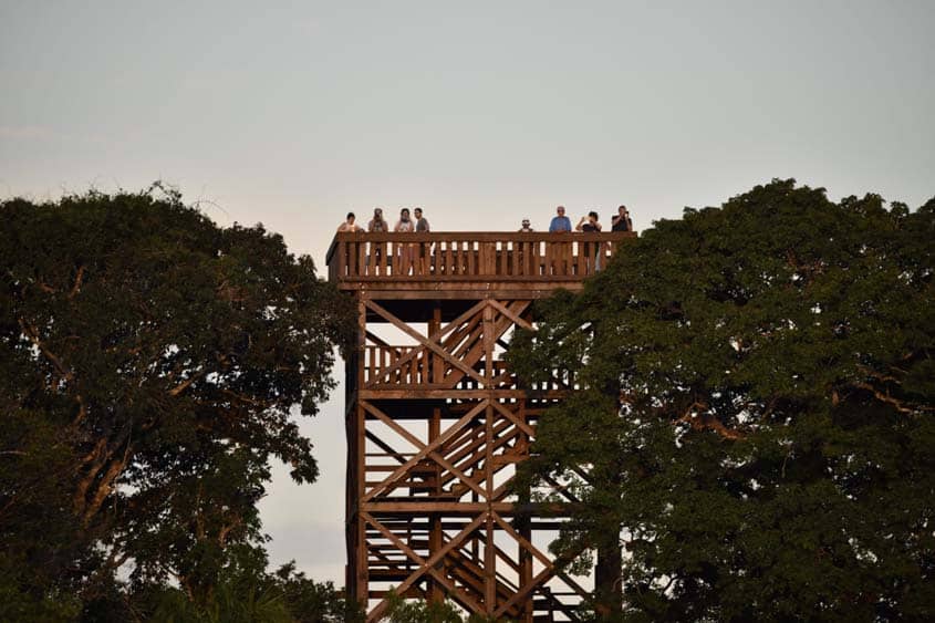 Juma Amazon Lodge Brésil plateforme d'observation