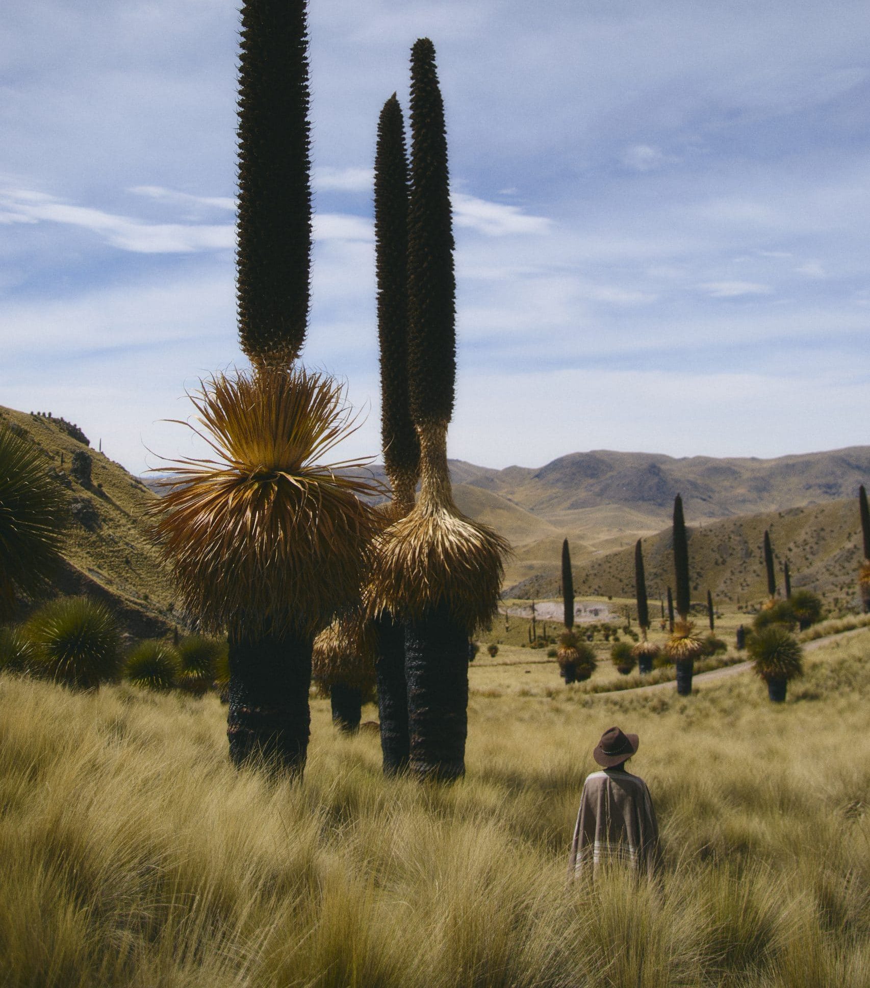 Tinajani Pérou excursion à pied