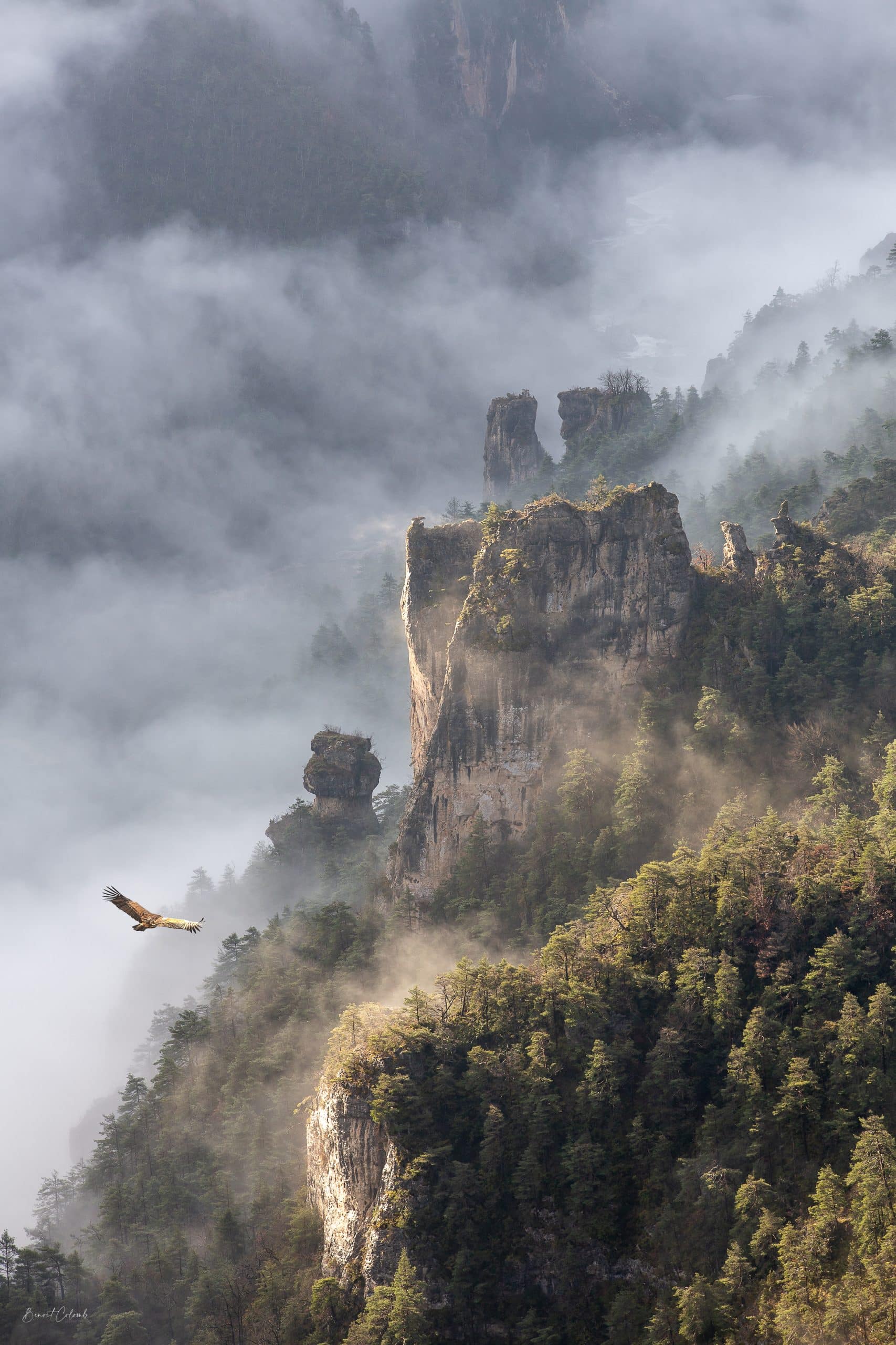 France Almieres Retreat grands causses