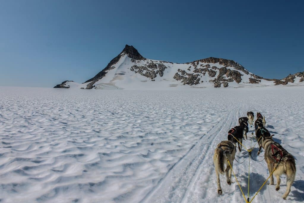 Alaska Hélicoptère & chiens de traîneau Punchbowl Glacier expédition glacier