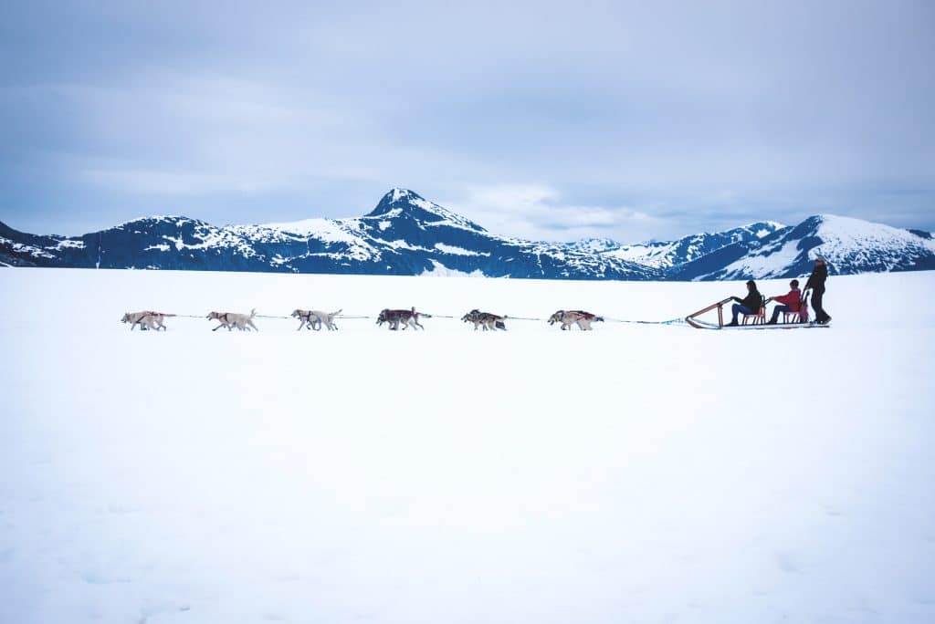 Alaska Hélicoptère & chiens de traîneau Punchbowl Glacier sortie glacier