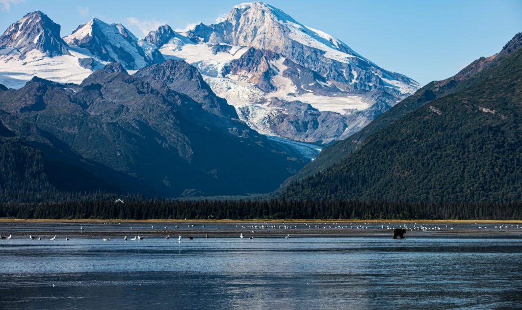 Alaska Observation des ours bruns dans le parc national de Lake Clark paysage