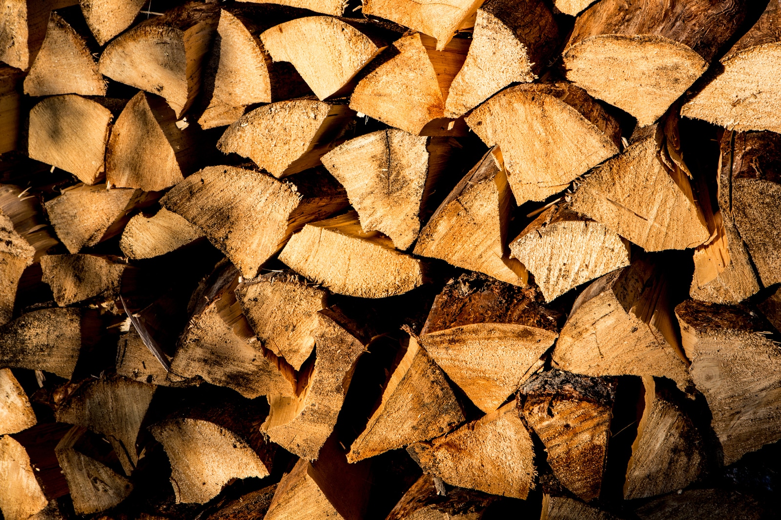 Alaska Ultima Thule Lodge  ambiance