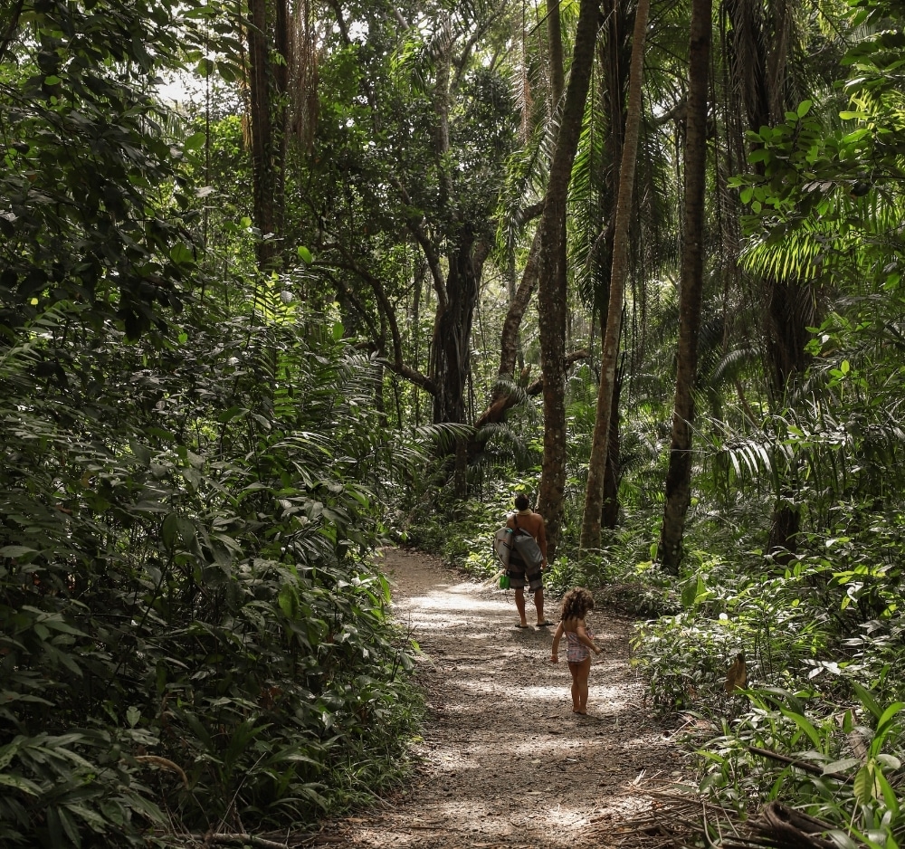 Brésil Barracuda Hotel & villas balade dans la jungle