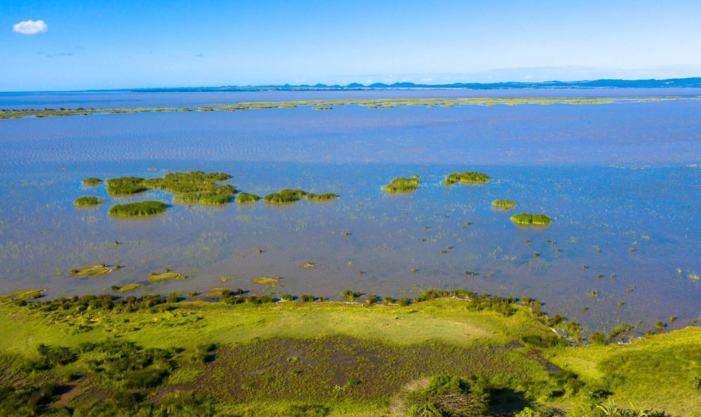 Mozambique safari parc national de Maputo paysages