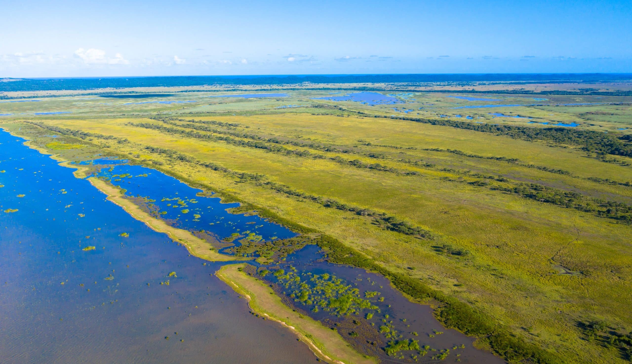 Visite du parc national de Maputo