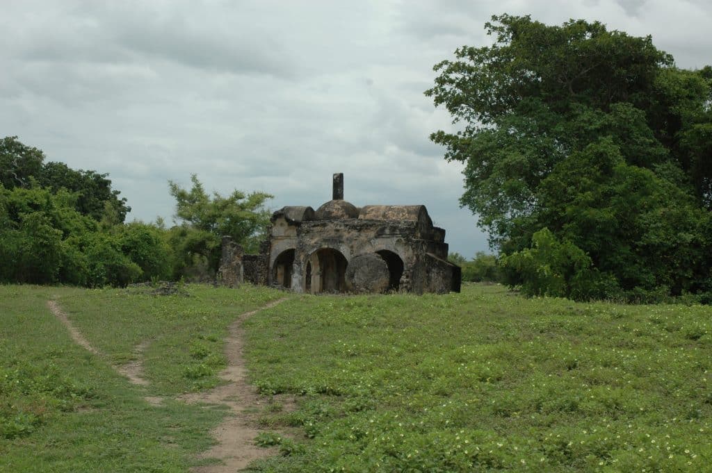 Tanzanie Exploration de Kilwa Kisiwani ruines ©UNESCO Ron von Oers 11