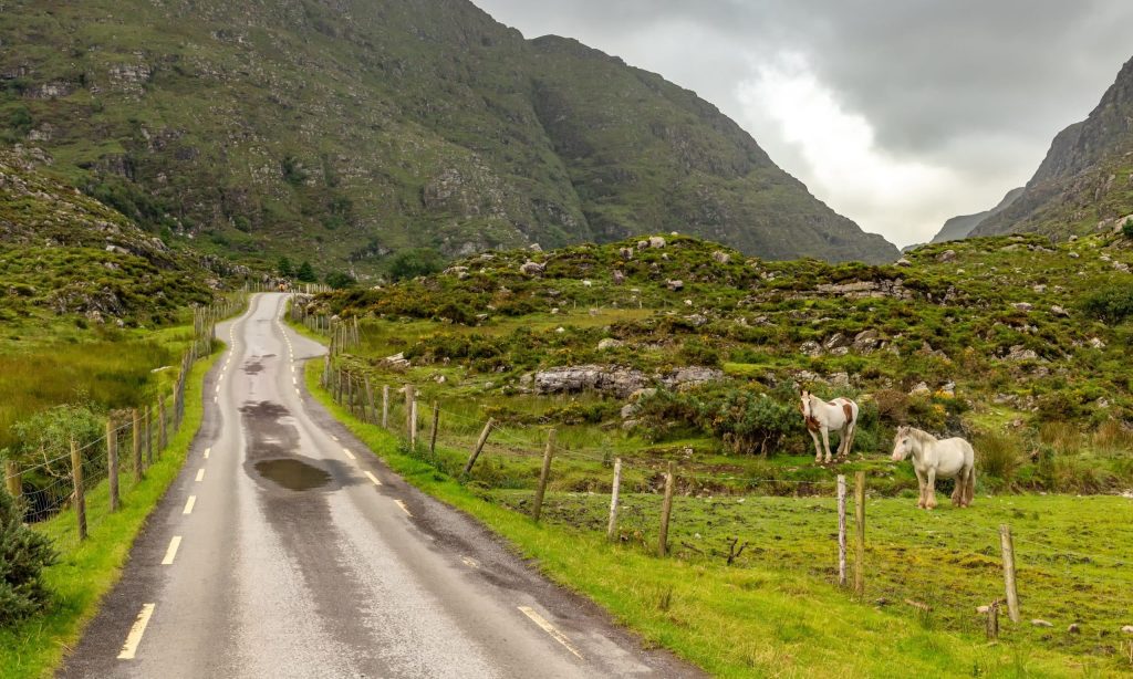 Irlande A cheval parmi les cerfs du parc national de Killarney Ring of Kerry
