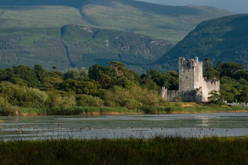 Irlande A cheval parmi les cerfs du parc national de Killarney château de Ross