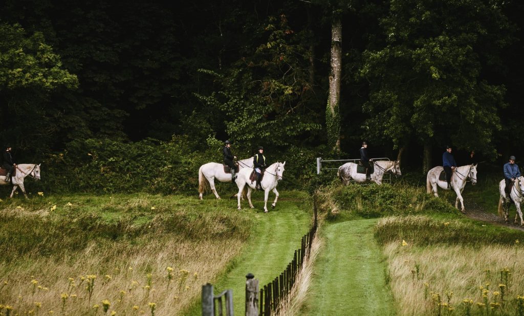 Irlande A cheval parmi les cerfs du parc national de Killarney sortie en groupe