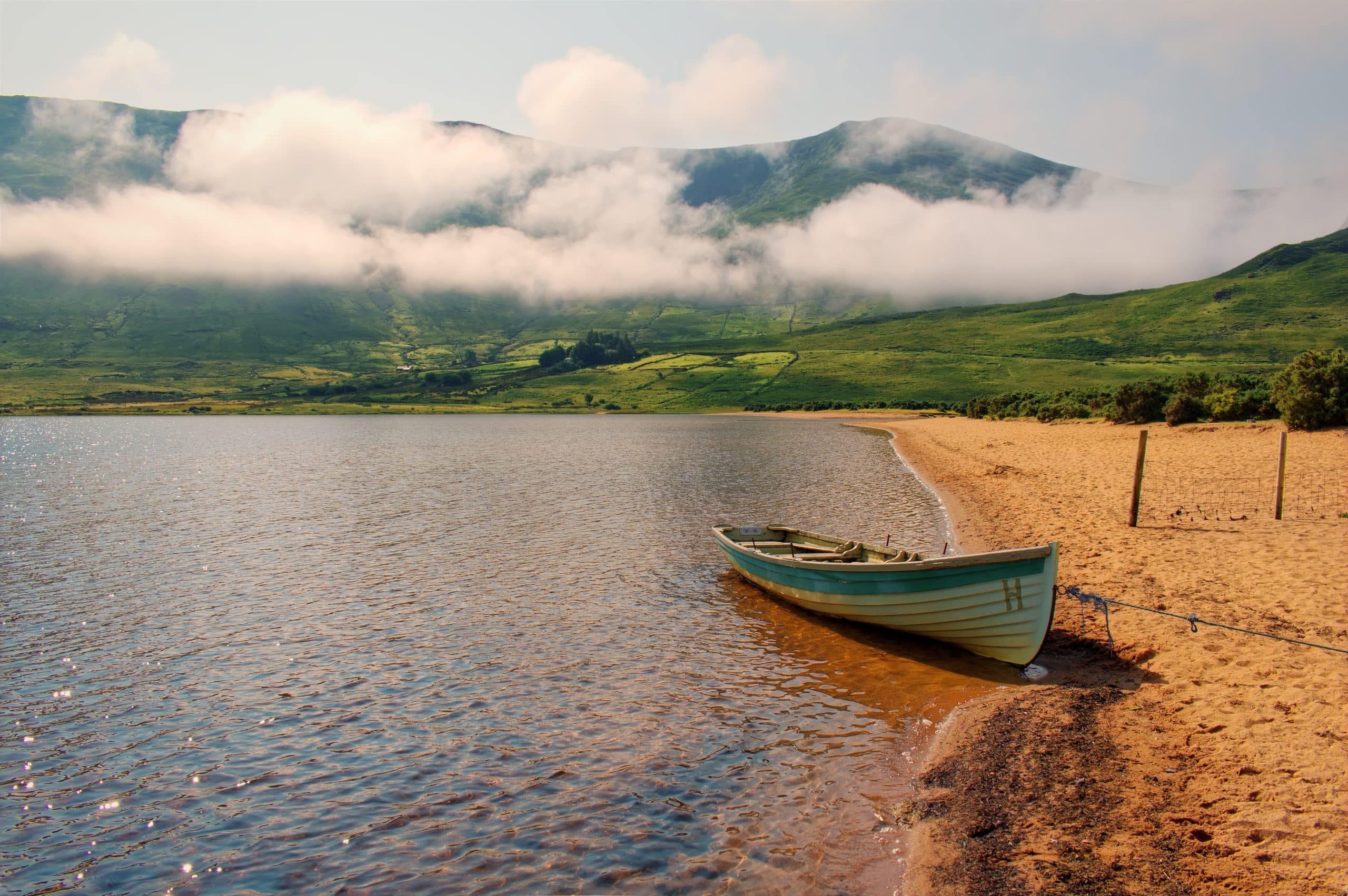 Saumon sauvage du Connemara : de la rivière au fumoir
